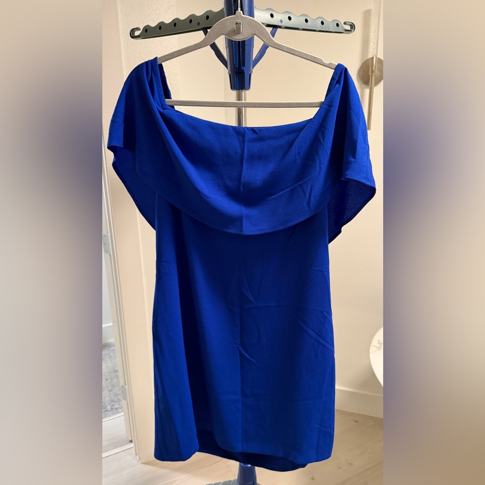 Charles Henry Vibrant Blue Garment
